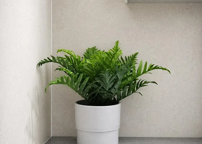 Family 2br Near Hongdae & Sinchonㅣhana